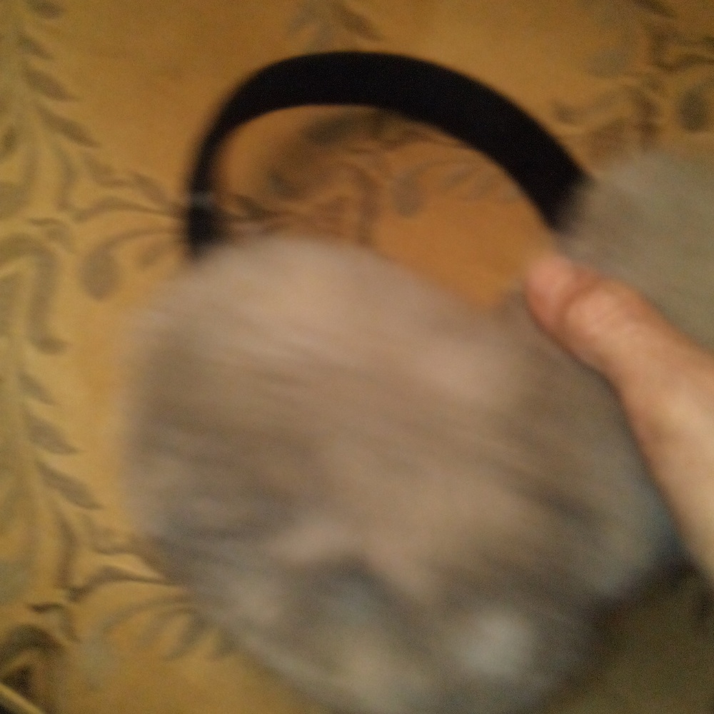 Ear Muffs